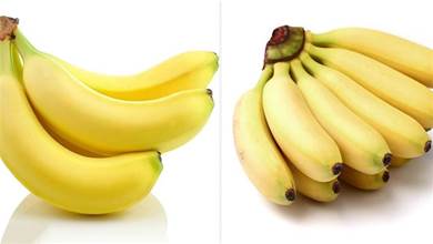 香蕉有【彎的】和【直的】，2者有什麼區別，果農告訴你以後別買錯