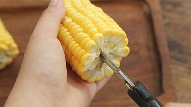 原來剝玉米這樣簡單，只需一把剪子，玉米自動散開，又快又完整