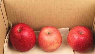 保存蘋果放冰箱就錯了，教你兩種方法保鮮，放3個月都新鮮