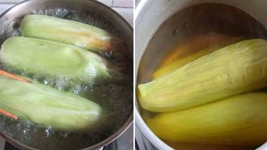 煮玉米只放清水是錯的，多放2樣東西，煮出來的玉米香甜又軟糯
