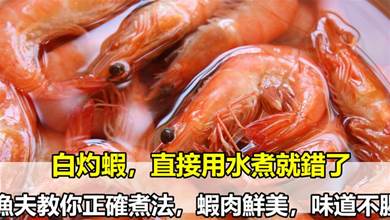 白灼蝦，直接用水煮就錯了，漁夫教你好吃的正確煮法，蝦肉鮮美，味道不腥
