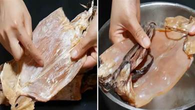 幹魷魚不要用清水泡，教你小竅門，泡發得又快又鮮沒腥味