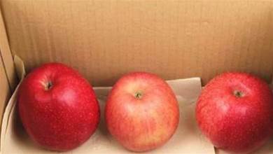 保存蘋果別放冰箱冷藏！老果農教你2個土方法，放3個月還脆香甜