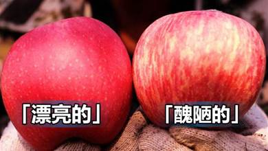 買蘋果，挑選「漂亮的」還是「難看的」？老果農：差別很大，弄懂再買不吃虧