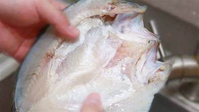吃魚時，魚肚裡魚油是扔掉還是吃掉？很多人不懂，早知道要受益
