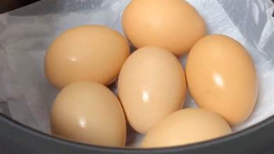 雞蛋不用水煮了，只需要1張紙，1分鐘煮一鍋，老嫩適中輕鬆剝殼！
