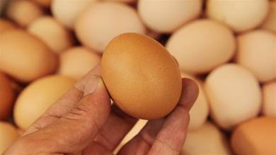 雞蛋萬萬不可直接放冰箱，跟養雞大媽偷學絕招，雞蛋常放常新鮮
