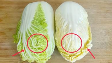 「黃葉」和「綠葉」白菜區別有多大？菜販子無意說漏嘴，漲知識了