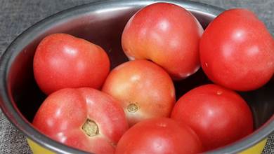 趁番茄便宜好吃，教你1個保存妙招，放一年不壞，簡單實用