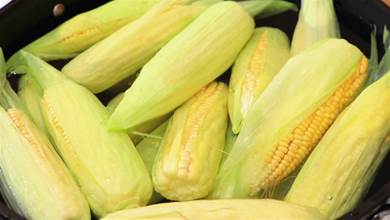 保存玉米有技巧！做對3步，放上一年都不壞，冬天也能吃到鮮玉米