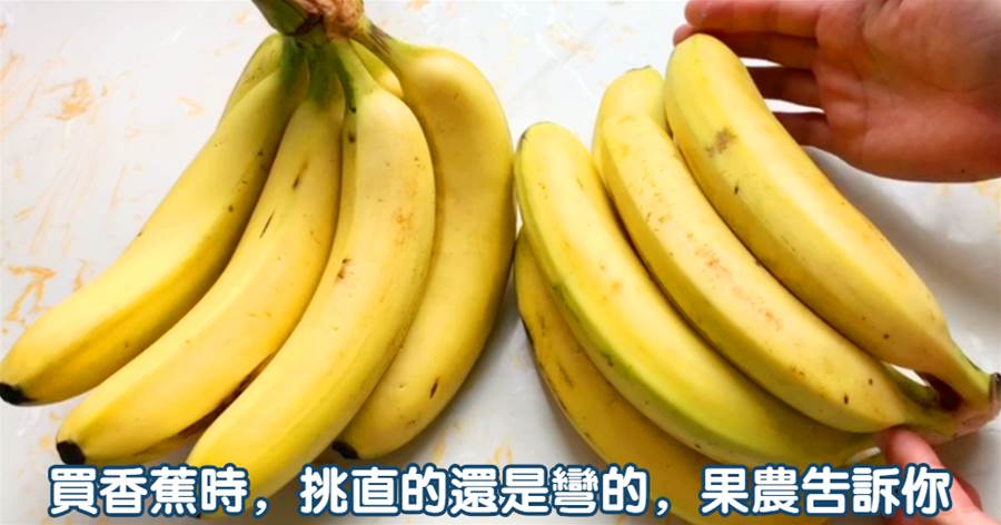 買香蕉時，挑直的還是彎的的，果農告訴你，以後別在買錯了
