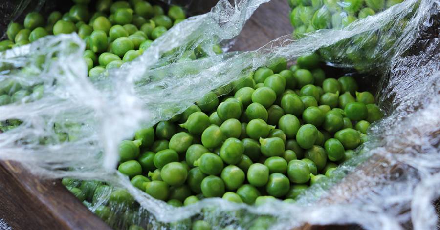 鮮豌豆不易保存，教你一招保存，一年四季都能吃道新鮮的