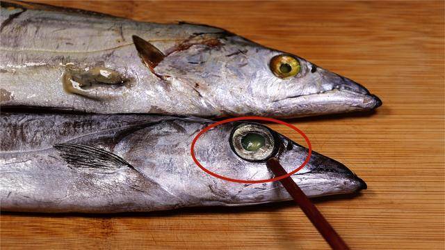 買帶魚，「黑眼睛」跟「黃眼睛」區別大，牢記4買4不買，帶魚鮮嫩味道正