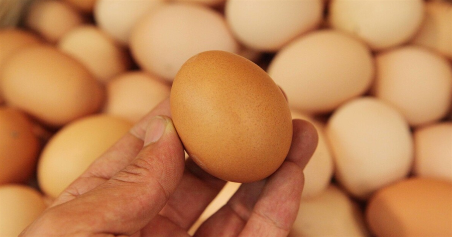 雞蛋萬萬不可直接放冰箱，跟養雞大媽偷學絕招，雞蛋常放常新鮮