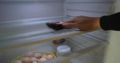 冰箱髒了不可用水擦，教你一個訣竅，冰箱污漬細菌全去除，真受用