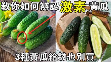 給錢也不買這3種黃瓜，菜農教你如何辨別激素黃瓜，記住3個竅門，避免買錯