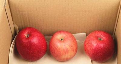 保存蘋果放冰箱就錯了，教你2種方法保鮮，放3個月都新鮮