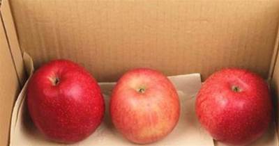 保存蘋果別放冰箱冷藏！老果農教你2個土方法，放3個月還脆香甜