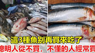 這3種魚寄生蟲太多，水產商自己都不吃，很多人並不知道，還經常買來吃