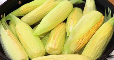 保存玉米有技巧！做對3步，放上一年都不壞，冬天也能吃到鮮玉米