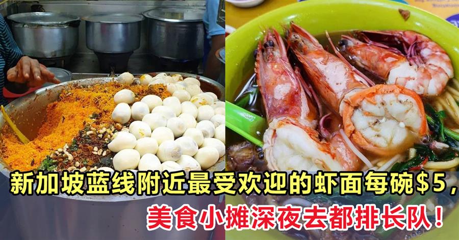 蓝线附近的美食小摊，新加坡最受欢迎的虾面每碗$5，深夜去都排长队