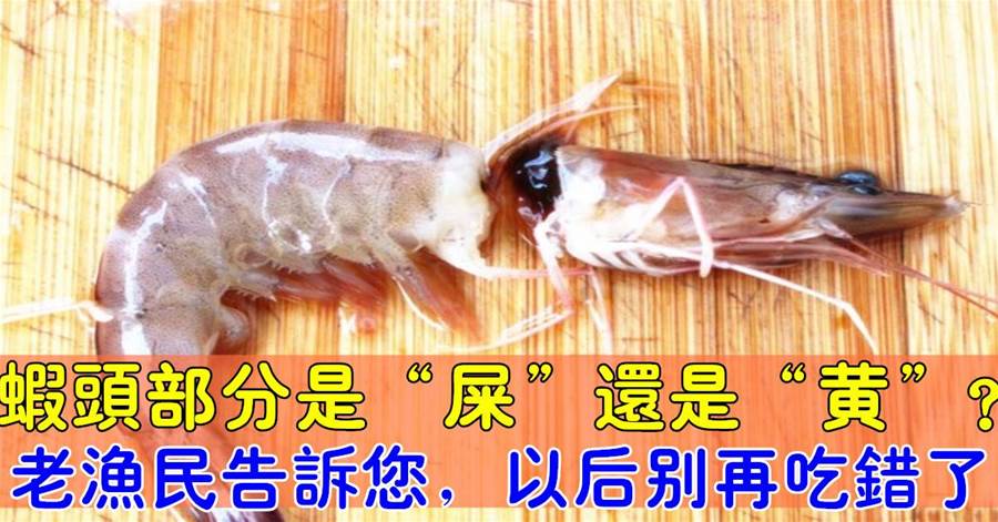 蝦頭部分是「屎」還是「黃」！老漁民告訴您，以後別吃錯蝦頭了