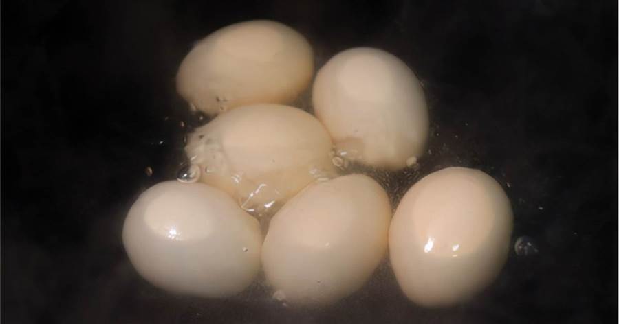 煮雞蛋時別只知道放清水，多家一樣，蛋殼好剝不沾皮，