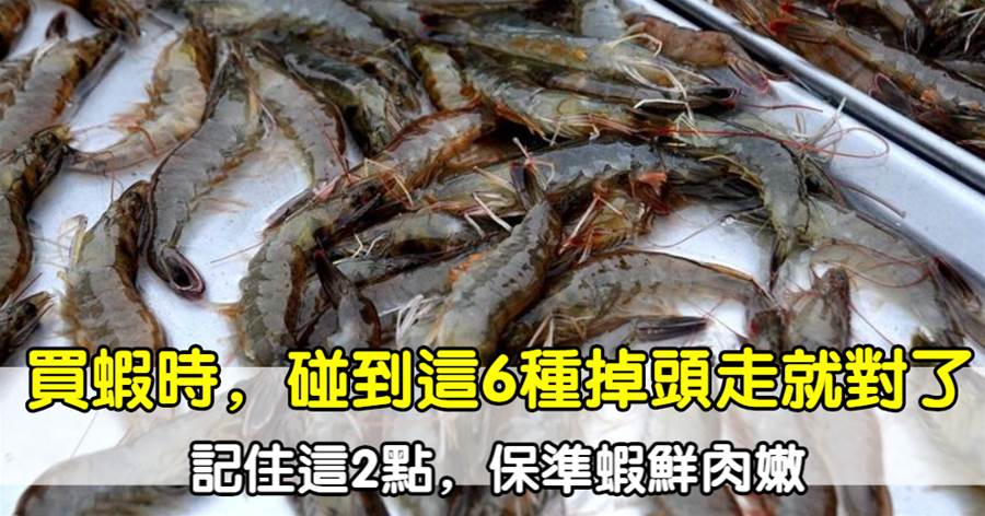 買蝦時，不管價格多便宜，都不要買這6種問題蝦，以免吃虧