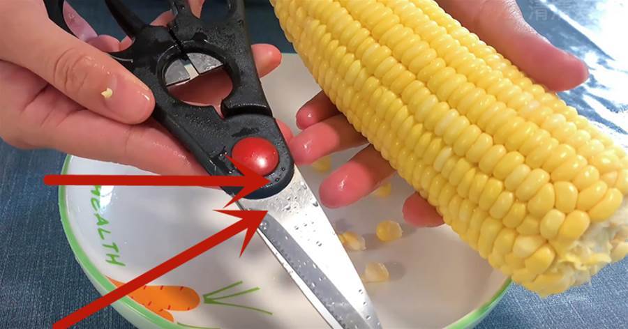 玉米上有個小開關，剪刀一扎一轉，玉米粒完整脫落，1分鐘剝大盤！